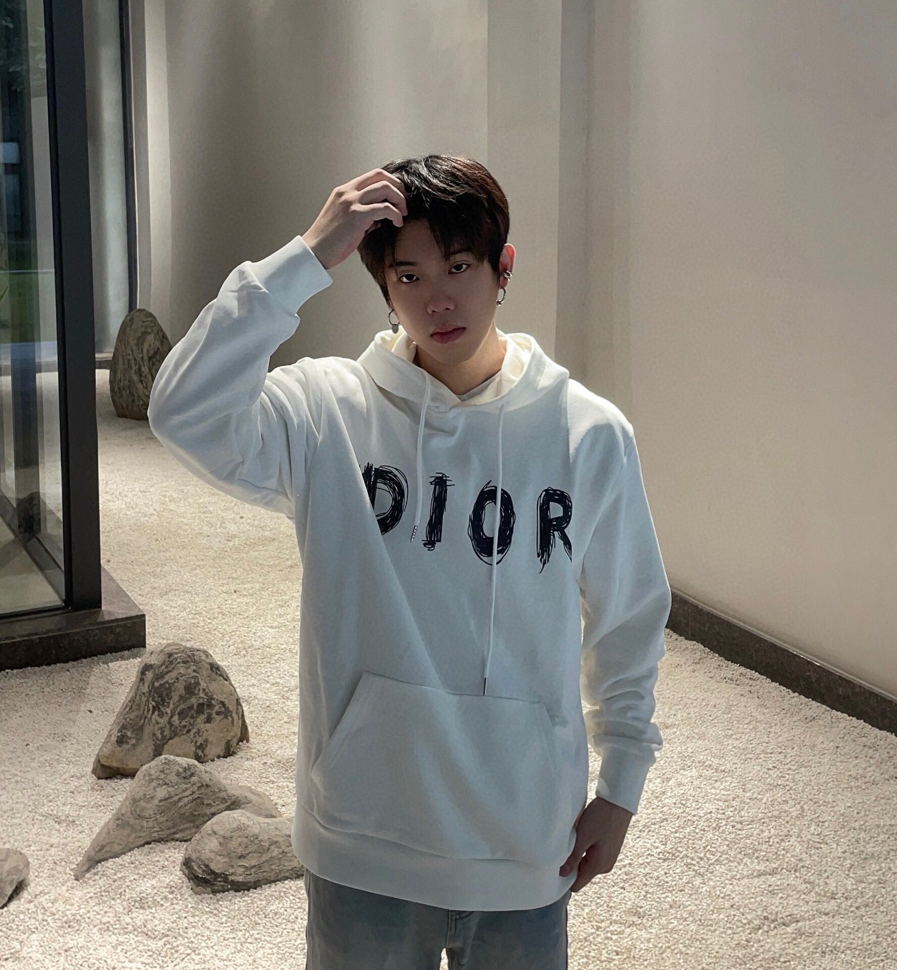 D*or brushstroke hoodie