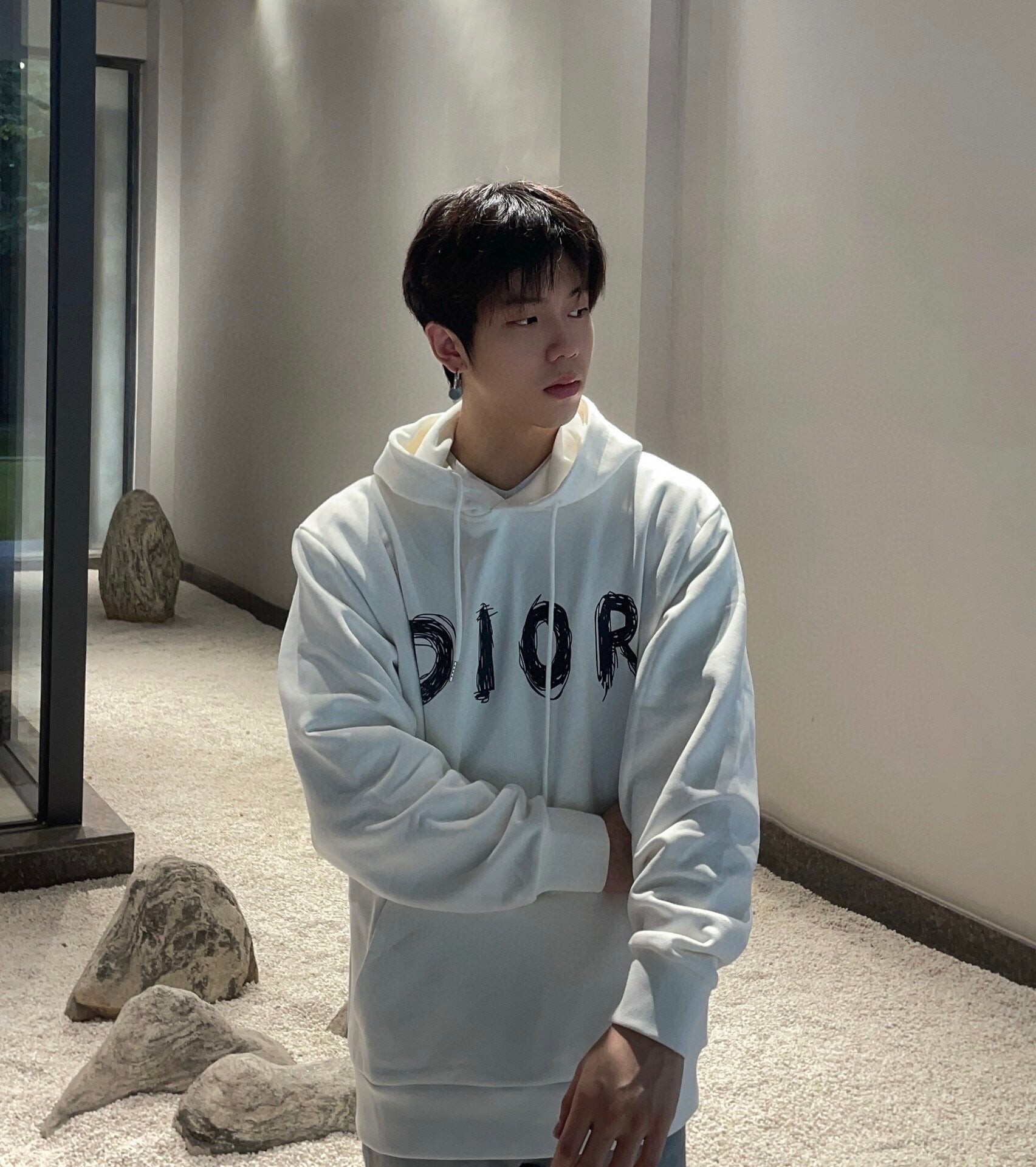 D*or brushstroke hoodie