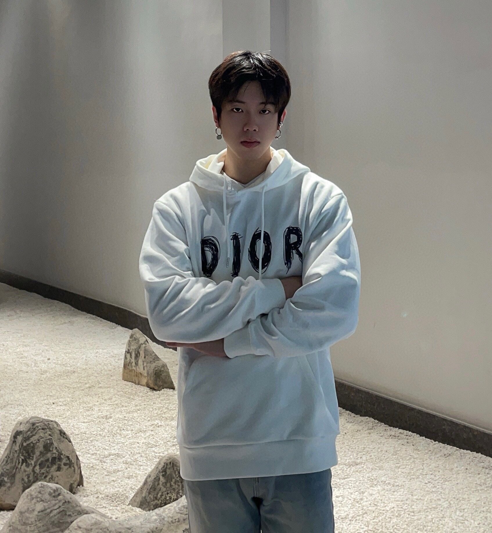 D*or brushstroke hoodie