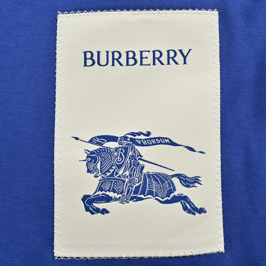 B**rry embroidered patch t-shirt (blue)