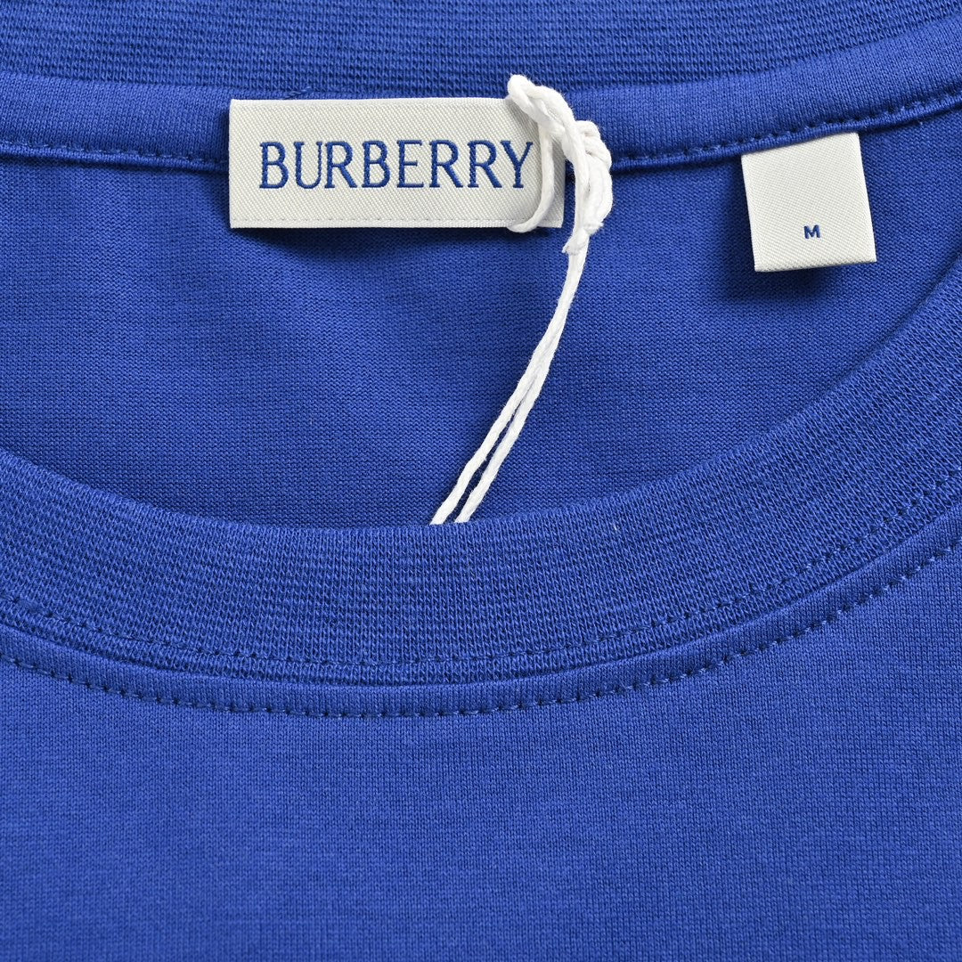 B**rry embroidered patch t-shirt (blue)