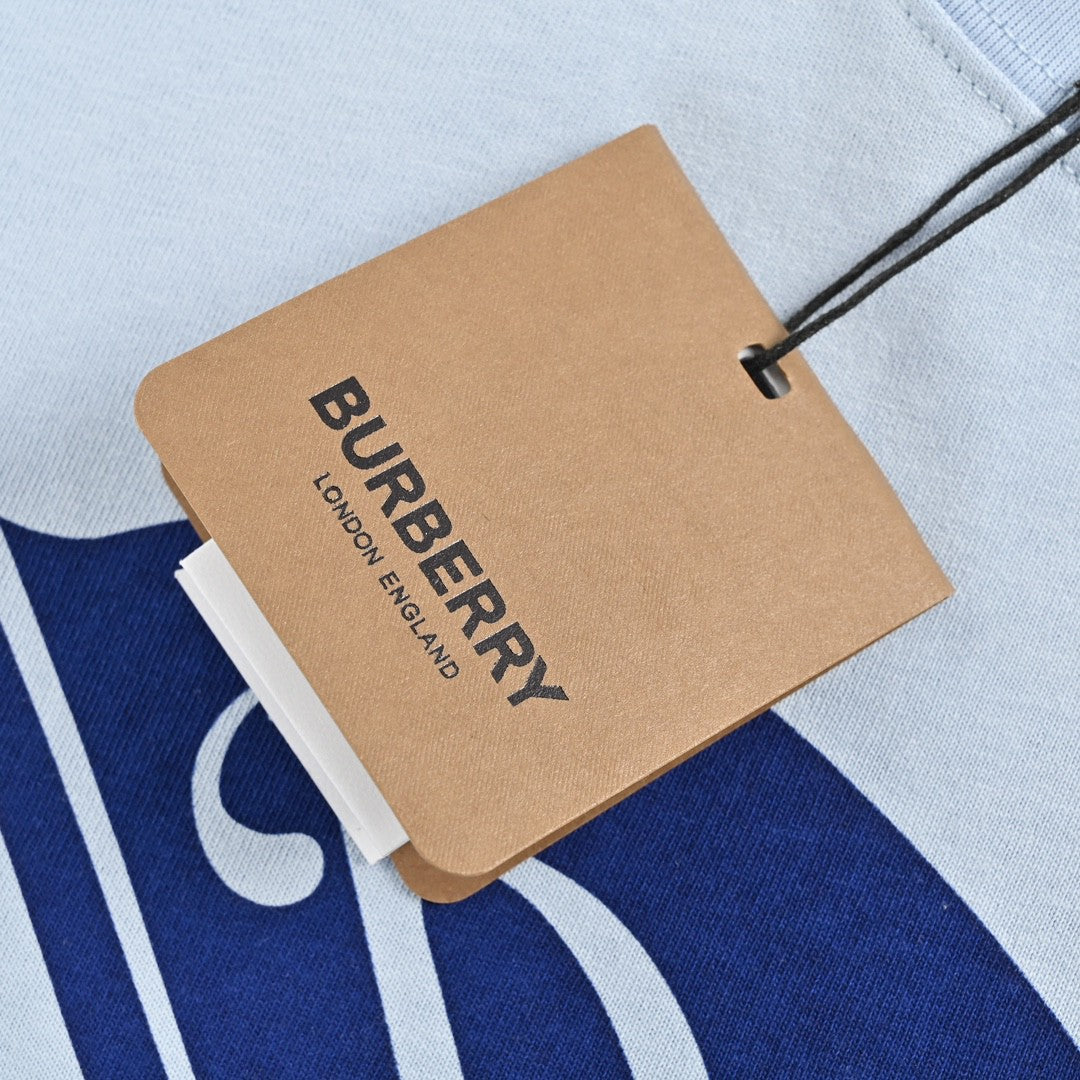 B**rry knight print t-shirt (light blue)