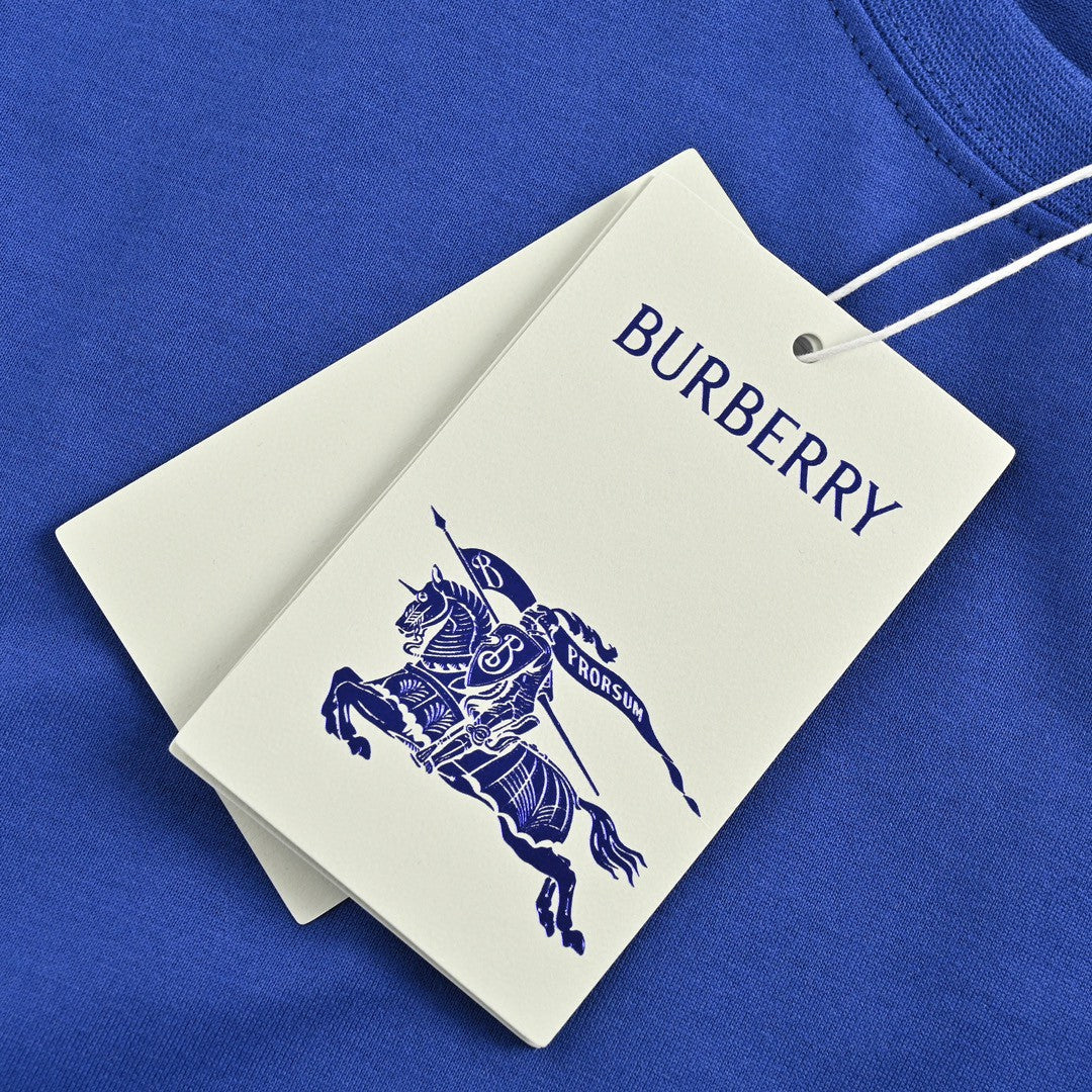B**rry embroidered patch t-shirt (blue)