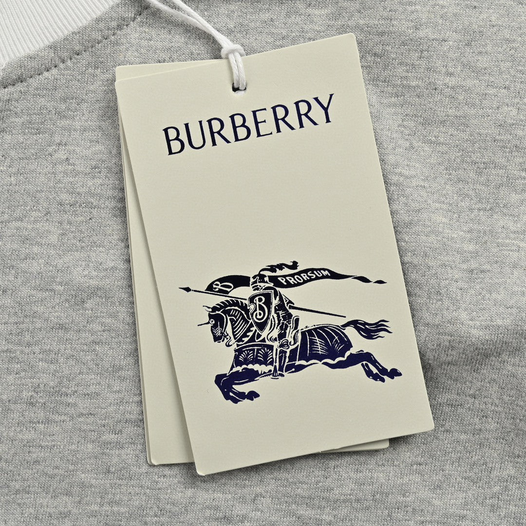 B**rry classic crewneck t-shirt (gray)
