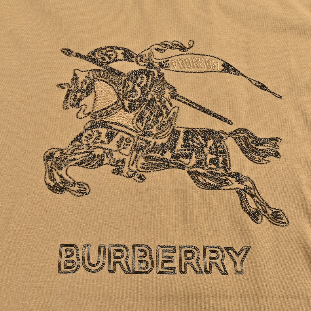 B**rry t-shirt - knight graphic